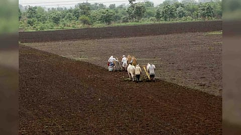 Representative Image (PTI)