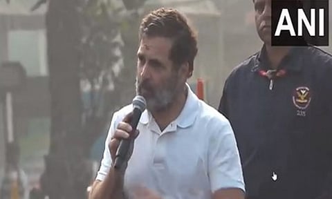 Rahul Gandhi (ANI)
