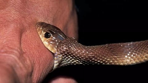 Representative Image&nbsp;