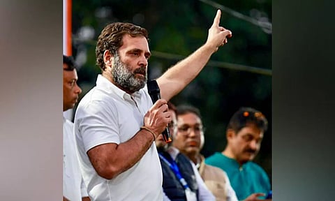 Congress Leader Rahul Gandhi (ANI)