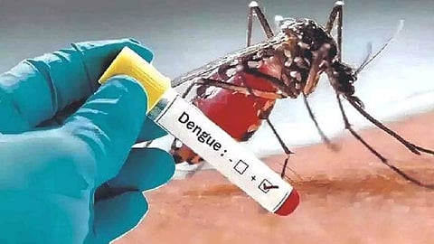 Representative Image&nbsp;