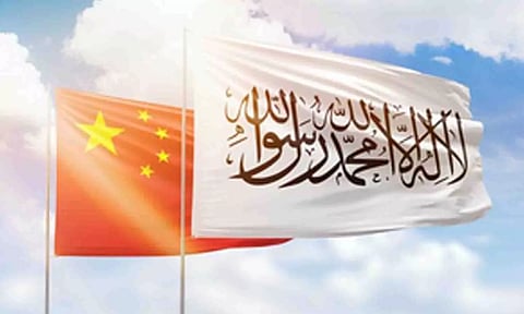 Representative Image (IANS)