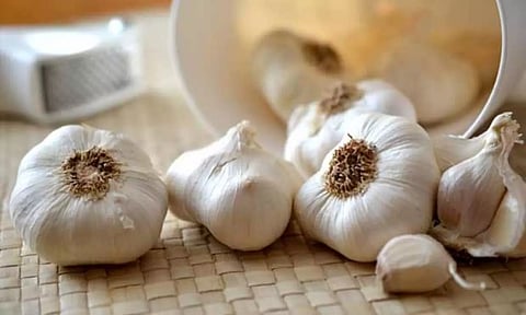 Garlic prices skyrocketed in Chennai