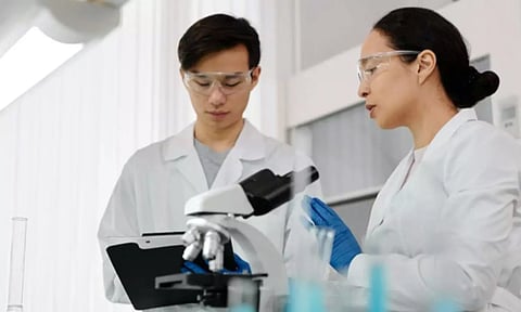 Representative Image (ANI)