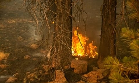 Representative image