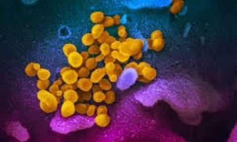 Representative Image (IANS)