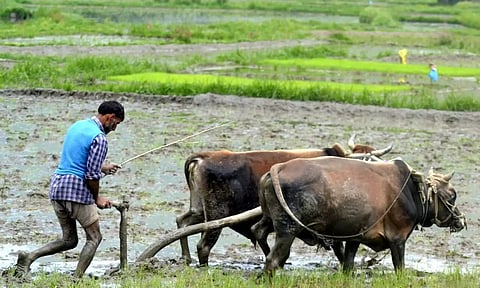 Representative image. (File)