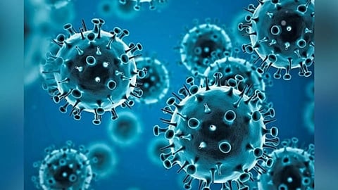 Representative image&nbsp;