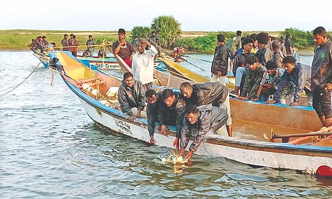 A rescued Olive Ridley turtle being returned to sea by fishermen in the area
