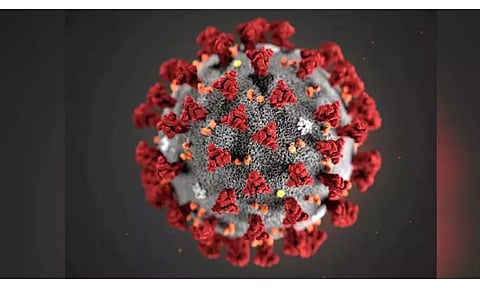 Representative Image