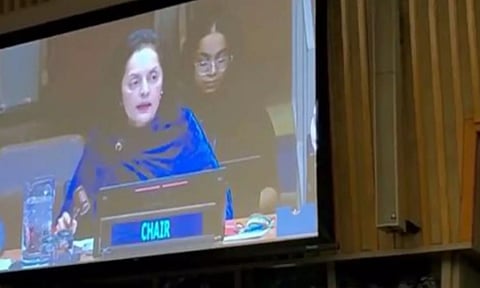 India chaired Session at UN (ANI)