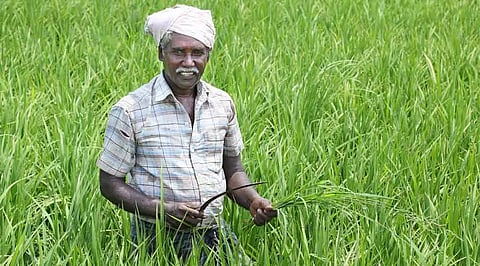 Representative image&nbsp;