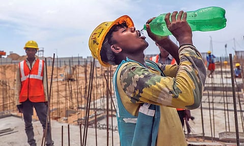 Signs indicate scorcher of a summer, say experts