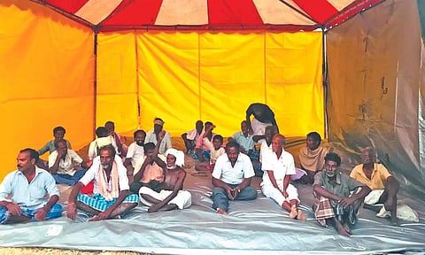 A sit-in protest by farmers on the bund of a field in Melma village