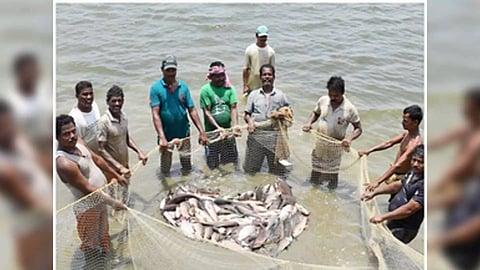 Representative Image (Photo/IANS)