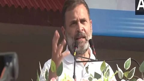 Congress MP Rahul Gandhi (File Photo/ANI).