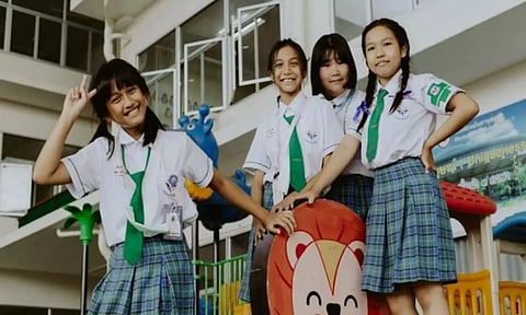 Representative Image (ANI)