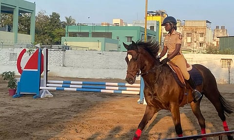 There will be a total of 13 competitions including four Dressage competitions and nine jumping competitions as part of the event.&nbsp;