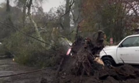 Representative Image (IANS)