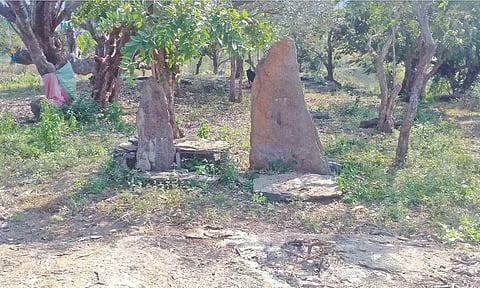 Menhir near a sacred tree