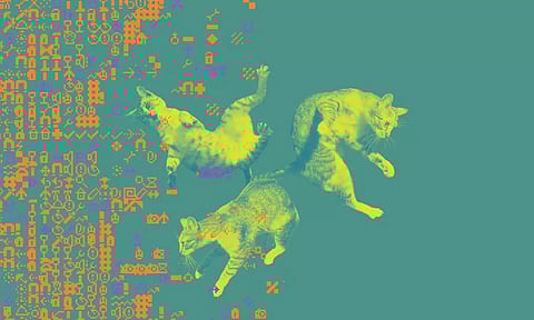 Representative image