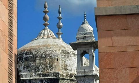 Gyanvapi Mosque (ANI)