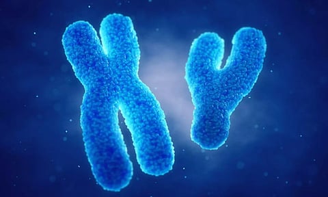 Representative image