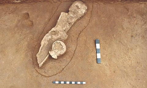 The buried child found during the excavation at Chettimedu Pathur