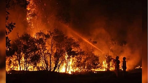 Representative Image