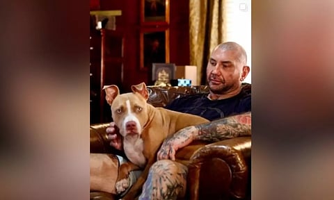 Actor Dave Bautista