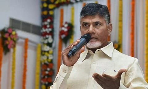 Andhra Pradesh CM N Chandrababu Naidu (File Image)