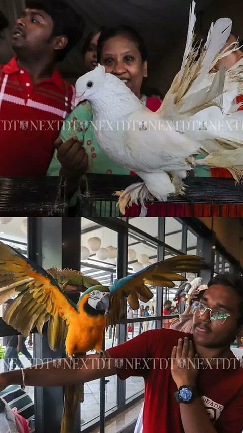 Pet Gala event showcases a wide variety of animals, organised by the Feline Club of India