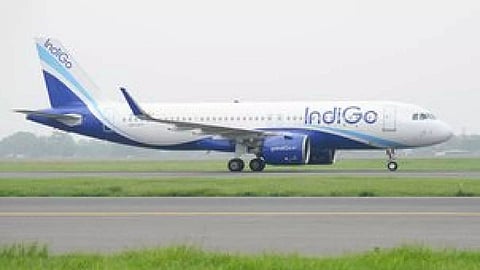Indigo Flight