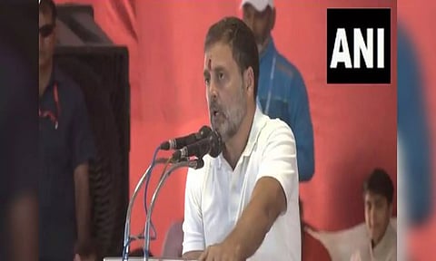 Congress leader Rahul Gandhi (ANI)