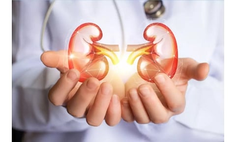 World Kidney Day: Doctors warn against overuse of OTC medicines