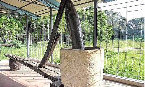 The cold swing machine plied by the freedom fighter