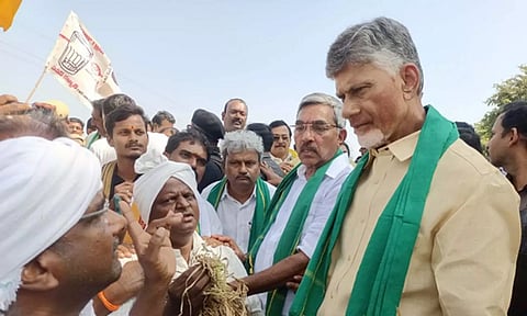 TDP Chief N Chandrababu Naidu (ANI)