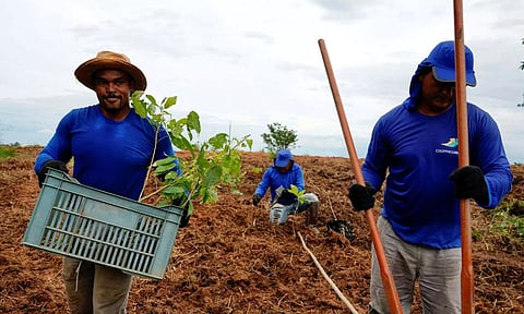 Unlikely Heroes: Climate leadership from the global south