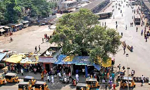 Representative Image