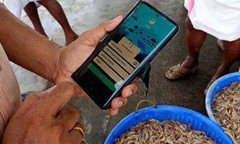 CMFRI mobile app (IANS)