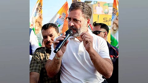 Congress MP Rahul Gandhi (Photo/ANI)