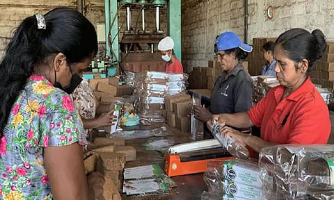 ADB approves USD 100 mln loan to support small and medium-sized enterprises in Sri Lanka (ADB)