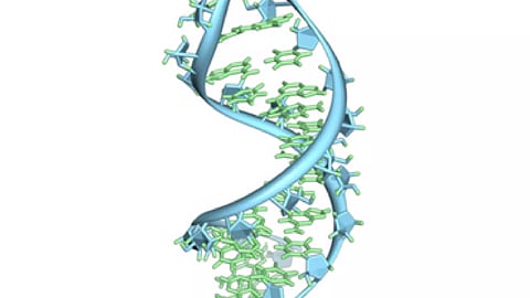 Representative Image (Photo/IANS)