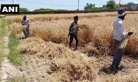 Representative Image (X)