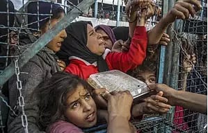 Representative image&nbsp;