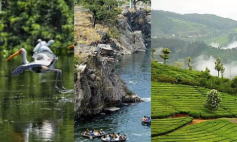 Visuals from Bird Sanctuary, Cauvery river in Hogenakkal, Tea estate