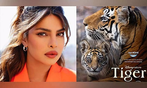 Priyanka Chopra, 'Tiger' film poster (Instagram)