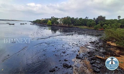 Ennore Oil Spill (Photo: Hemanathan M)