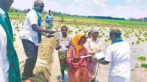 &nbsp;Farmers association candidate approached fellow farmers on the fields and sought their support for his ‘ship’ symbol.