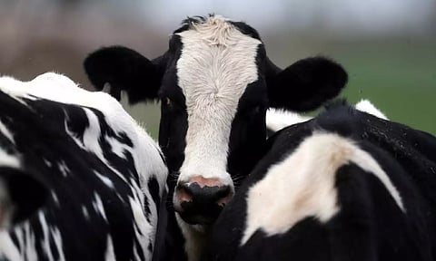 Representative Image (Reuters)